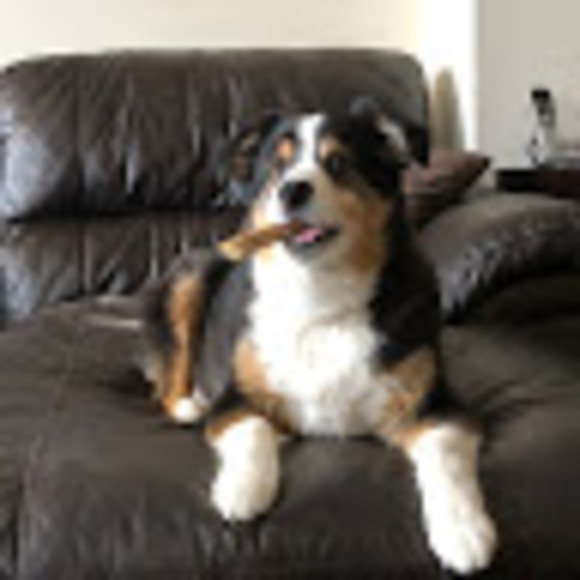 Meet your Posher, Nicole - Picture 1 of 1